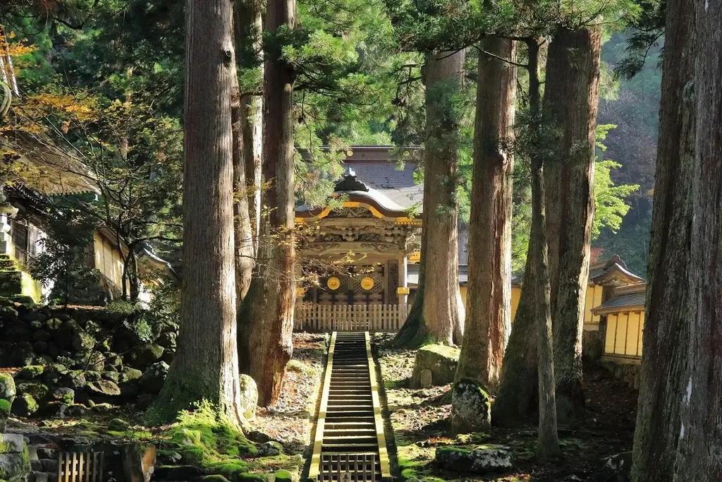 【加賀・山中温泉】ズワイガニをひとり1.5杯！ 造り、茹で、グラタン、〆の蟹ご飯まで☆姿そのままに愉しむ幸せ 画像 12