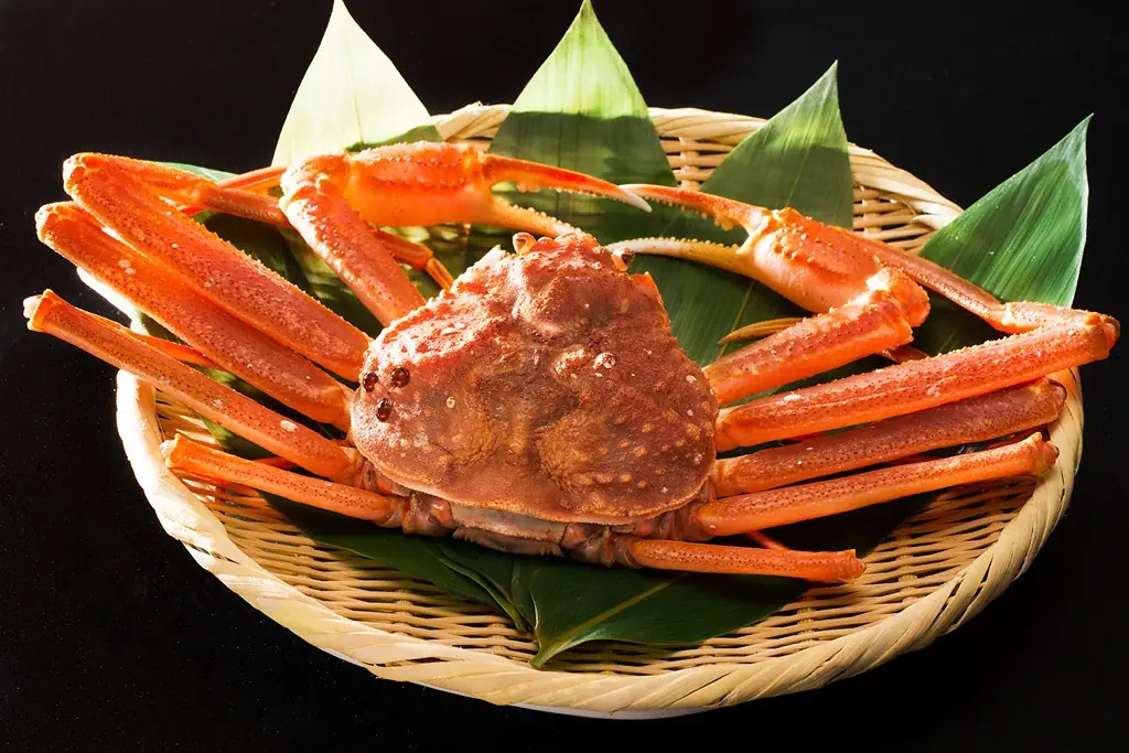 【加賀・山中温泉】ズワイガニをひとり1.5杯！ 造り、茹で、グラタン、〆の蟹ご飯まで☆姿そのままに愉しむ幸せ 画像 2
