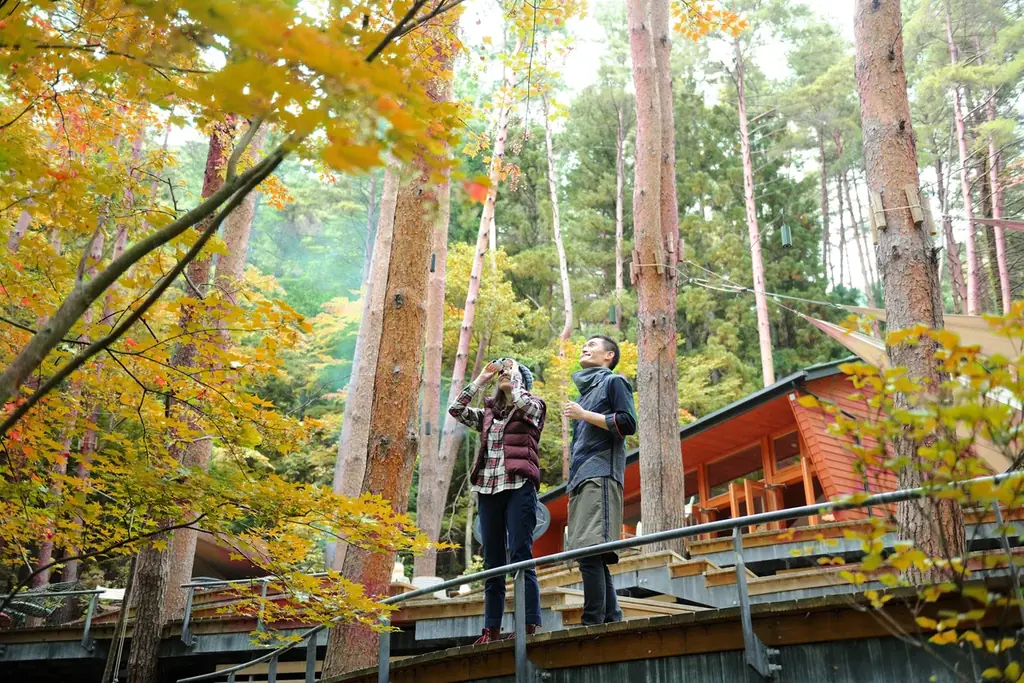【星のや富士】森が、いちばん美味しい季節。富士北麓の森で自然の心地よさを楽しむ「秋のグランピング滞在」提供開始 画像 5
