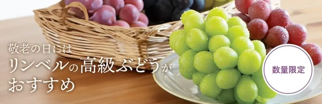 【リンベルの敬老の日ギフト2025】好きなものを選んでもらえるデジタルギフトや人気の体験型ギフトが贈れるカタログギフトも 画像 6