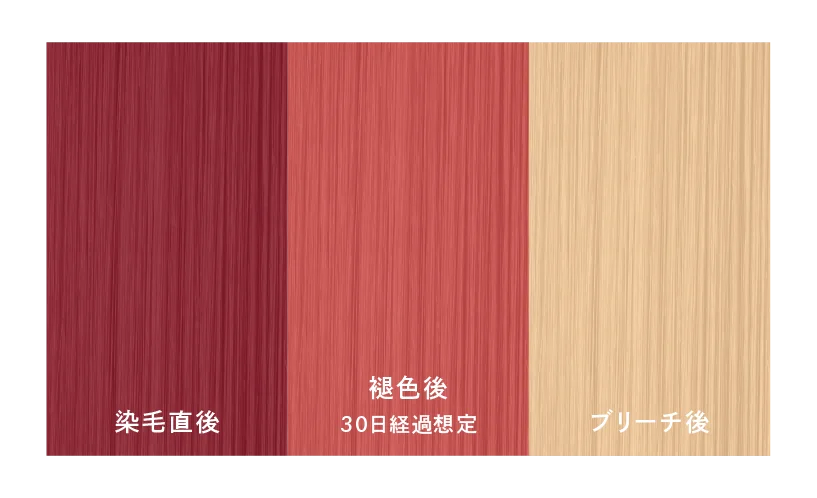 株式会社LOWBAL、プロ向けブランド「LOWBAL Professional」よりCHROMATECH「COLOR TUNER」「COLOR SHAMPOO」を9月8日(月)同時発売 画像 7