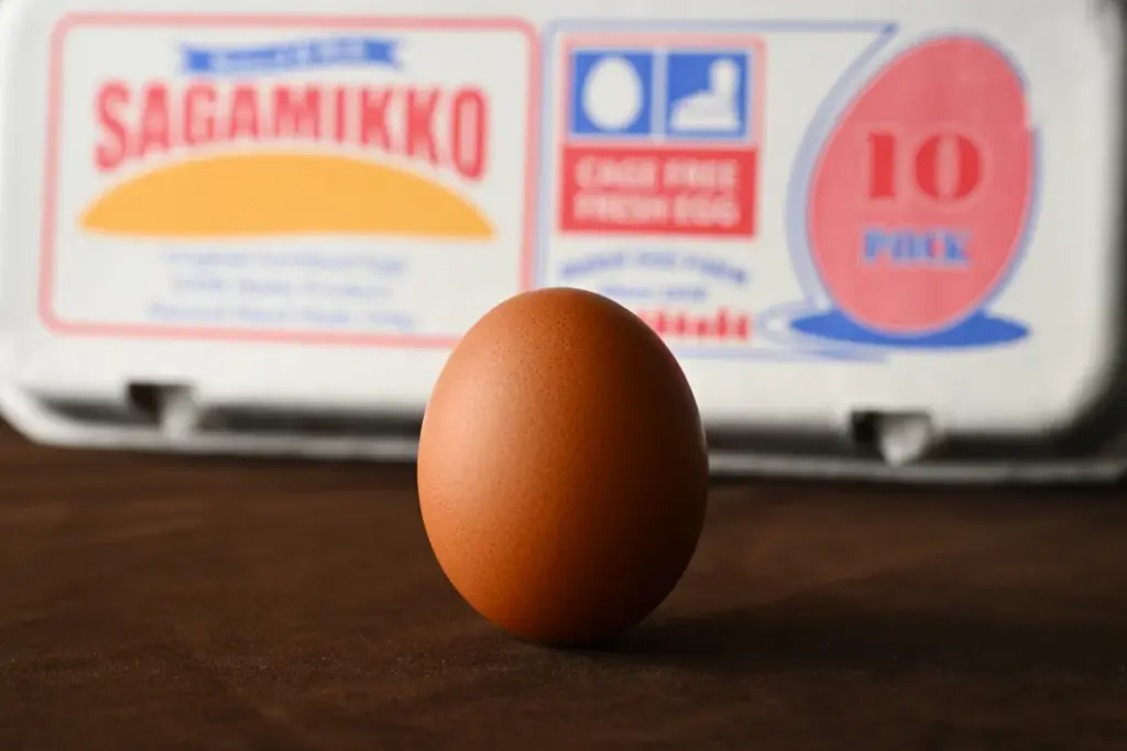 【相模原市】ふるさと納税返礼品Ｎｏ.1の「キーボード」がテーマのフェスを、好評により今年も開催 画像 9