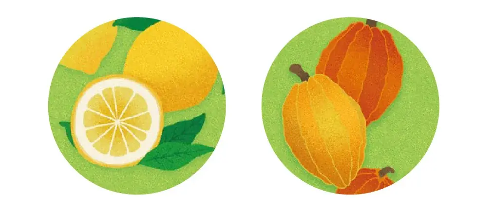 【スイーツ×七味】スパイス・チョコレート《檸檬》新登場！やさしく満ちていく果実の味わいを秋限定でお届け。9/1～根元 八幡屋礒五郎 店舗で発売開始。 画像 2