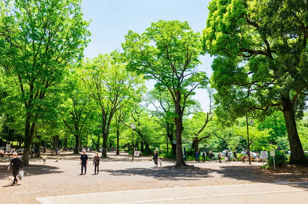 東京の魅力をめぐるウォーキングイベント「TOKYOウォーク2025」開催決定! 画像 7