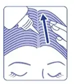 再生医療※1発想の「MUNOAGE(ミューノアージュ)」から、髪の未来に幹細胞※2でアプローチ「ミューノアージュ WアプローチヘアプログラムEx」2025年9月1日(月)に新発売 画像 3