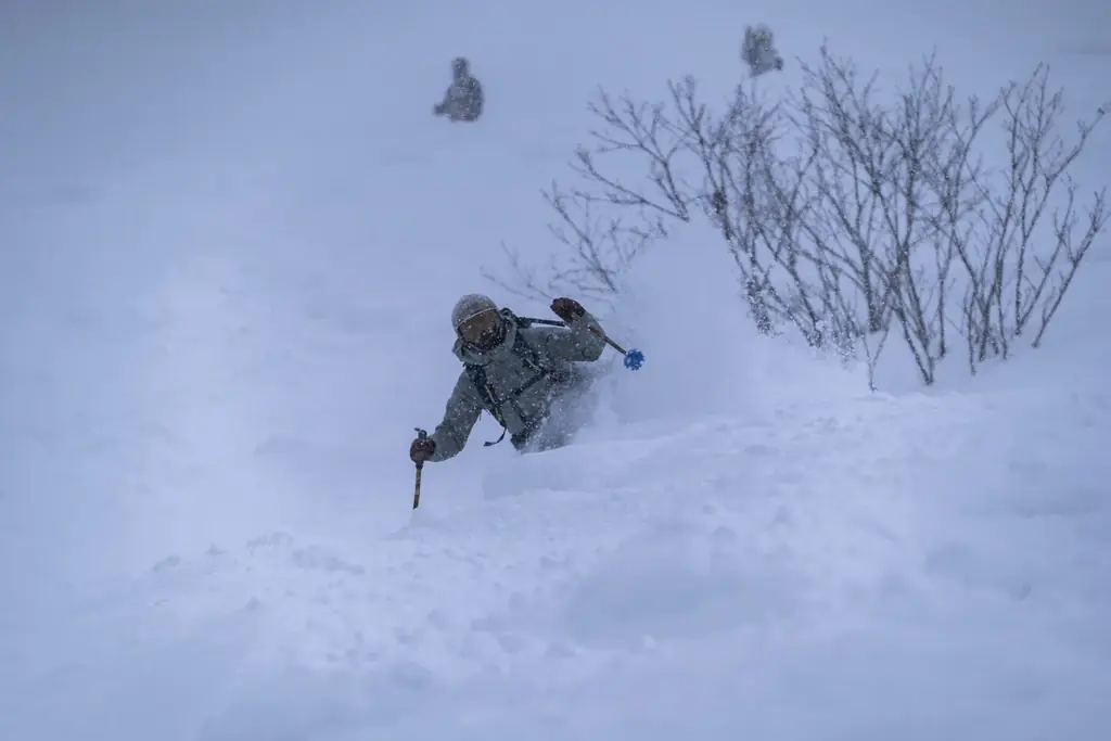 白馬乗鞍温泉スキー場、白馬コルチナスキー場との共通シーズンパスを9/1より販売開始　2025-2026冬季シーズンはヘリスキーがトップシーズンから登場 画像 2