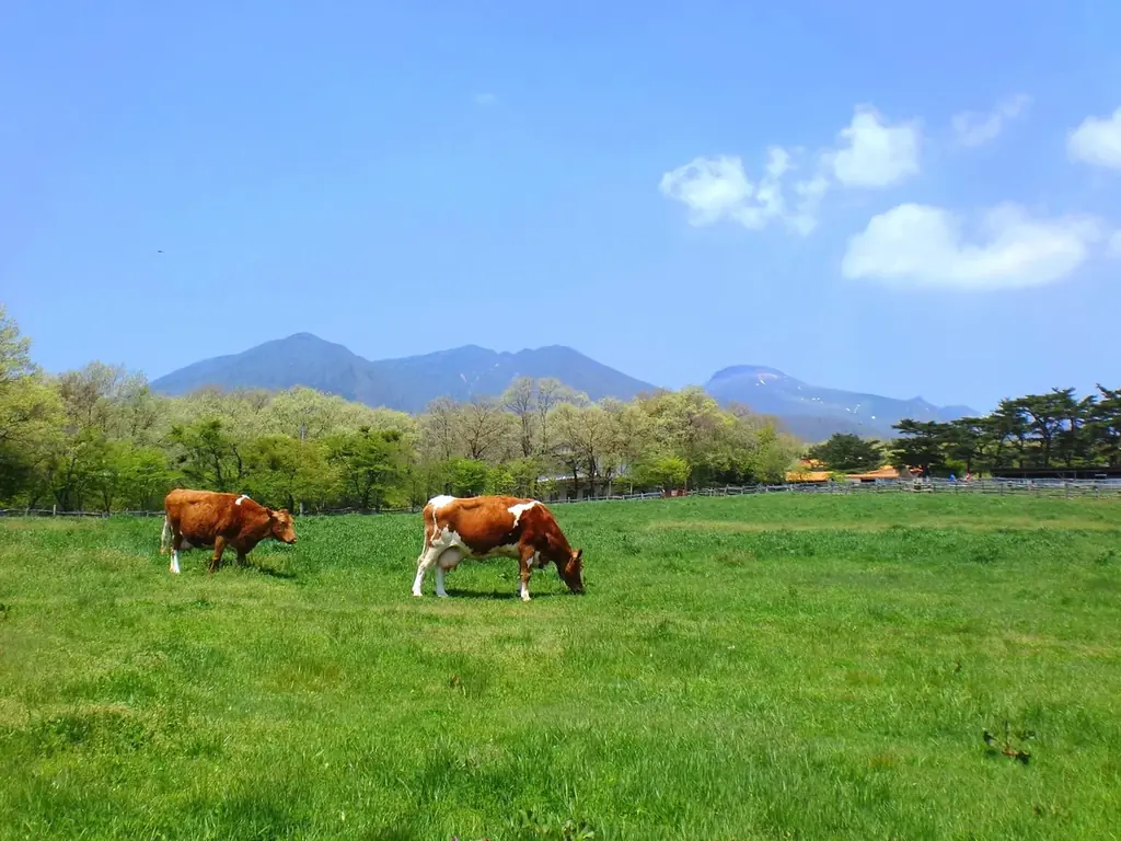 【JAF福島】栃木県、茨城県、福島県にまたがる『八溝山周辺地域を巡るドライブスタンプラリー』に協力します 画像 5