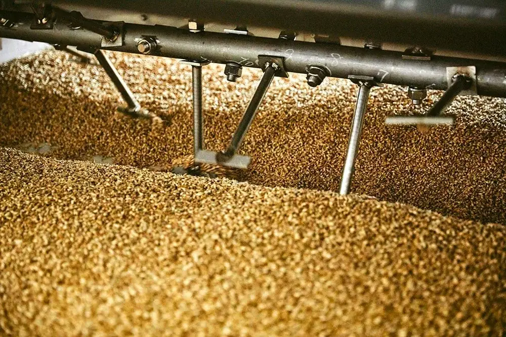国産麦芽100%、生ホップを使用した常陸野ネストビール 「フレッシュホップス2025」 9月下旬数量限定販売 画像 4