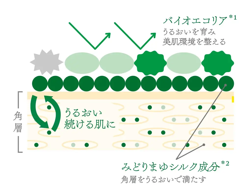 みどりまゆシルクのブランド「Itoguchi」からデイリーケアに特化した「みどりまゆ バランシング マスク 」が登場 画像 3