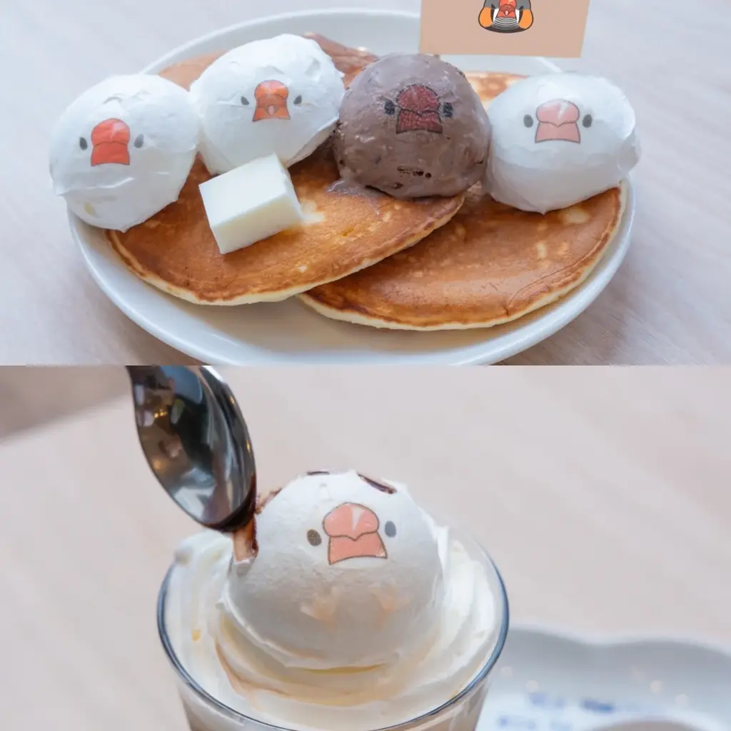 「モット!キャル喫茶」9/1からSTART!文鳥・キンカチョウ・ジュウシマツと楽しむ♪ふくふく堂さんイラスト再現メニューで純喫茶気分を 画像 7