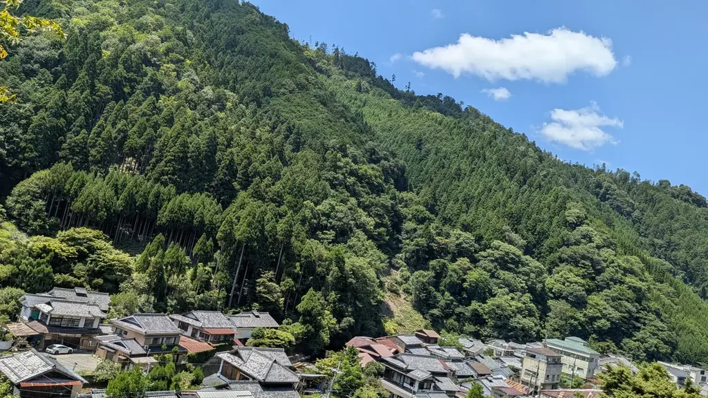 京都で体験する森林浴