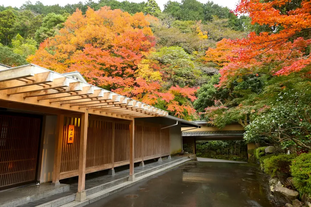 海石榴つばき、早期優待を2026年3月末まで拡充　紅葉を先取り予約