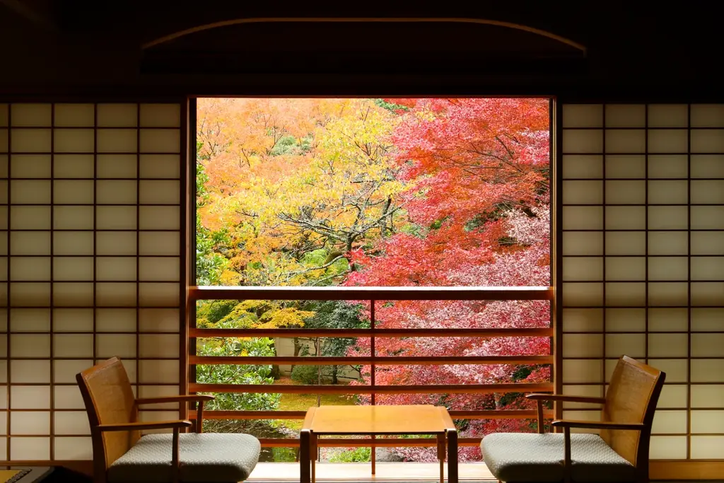 【奥湯河原温泉 海石榴 つばき】渓谷を染める紅葉とともに過ごす秋~早期優待プランのご案内~ 画像 3