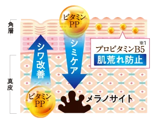 シワ・シミに挑む最高の一滴。高機能エイジングケア美容液「薬用リンクルホワイトエッセンス」2025年9月1日新発売! 画像 4