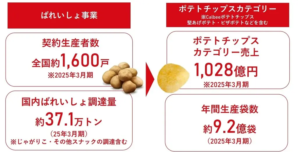 【「カルビーポテトチップス」発売50周年記念イベント】 東京駅に巨大なポテトチップスのフォトブースが登場！「全国感謝いっぱいサンプリング」を実施・ファンの声から生まれた「感謝のほたてしお味」が本日発売 画像 3