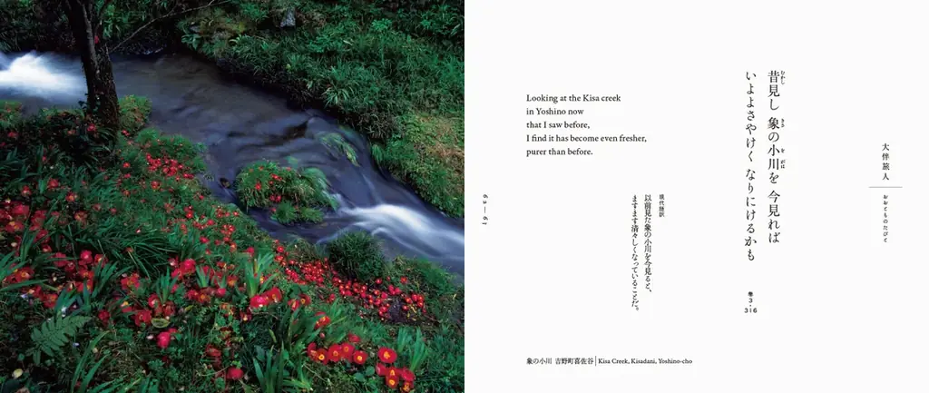 奈良の光と陰に紡がれた、日本最古のうた。『奈良万葉 ‐井上博道の万葉集の世界‐』9月12日発売 画像 3