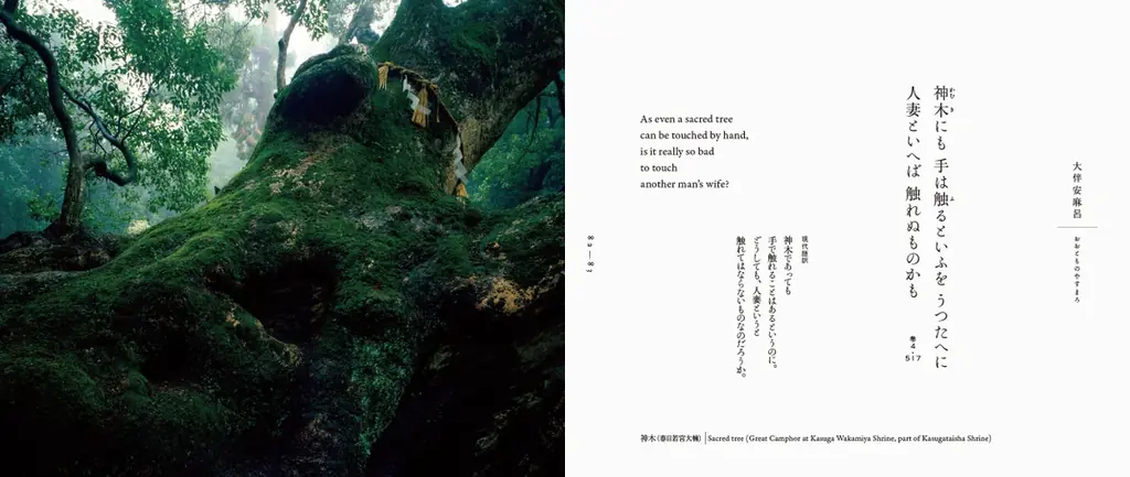 奈良の光と陰に紡がれた、日本最古のうた。『奈良万葉 ‐井上博道の万葉集の世界‐』9月12日発売 画像 4