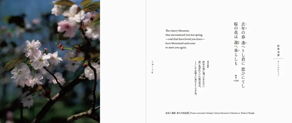 奈良の光と陰に紡がれた、日本最古のうた。『奈良万葉 ‐井上博道の万葉集の世界‐』9月12日発売 画像 6