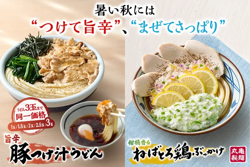丸亀製麺が9/9発売　旨辛かさっぱり選べる冷うどん2種