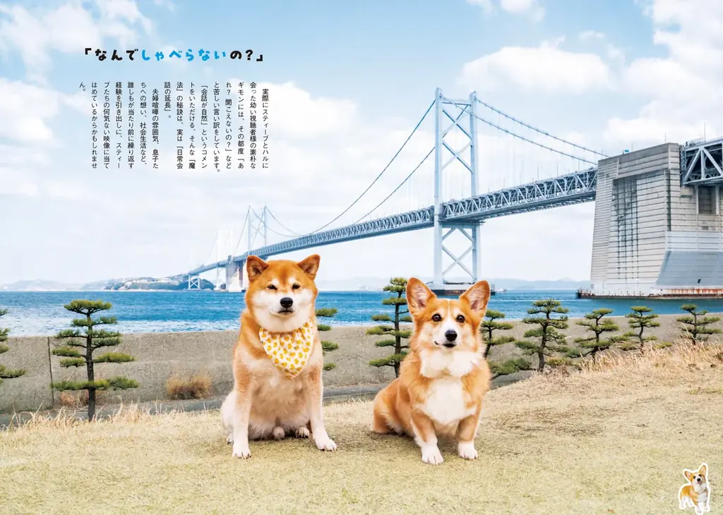 増刷記念キャンペーン