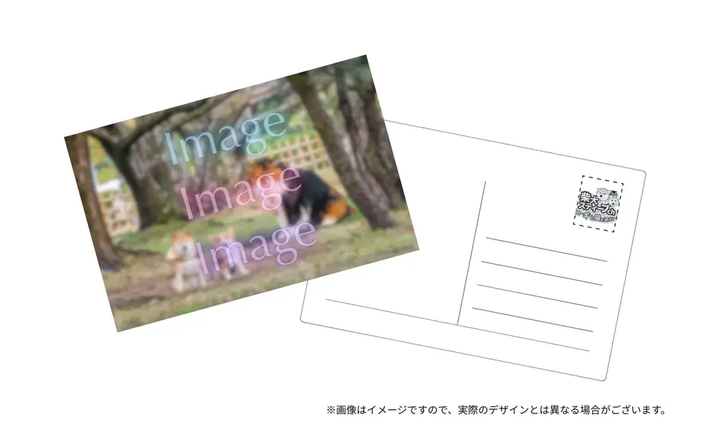 【発売3日で増刷決定！】完売書店続出の『柴犬スティーブ白書』から増刷記念キャンペーンのお知らせ 画像 4