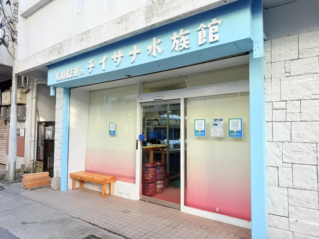 体感を通して海や生きものを学べる宮古島“初”となる水族館『KAIKENのチイサナ水族館』2025年9月12日に沖縄県宮古島市にオープン! 画像 3