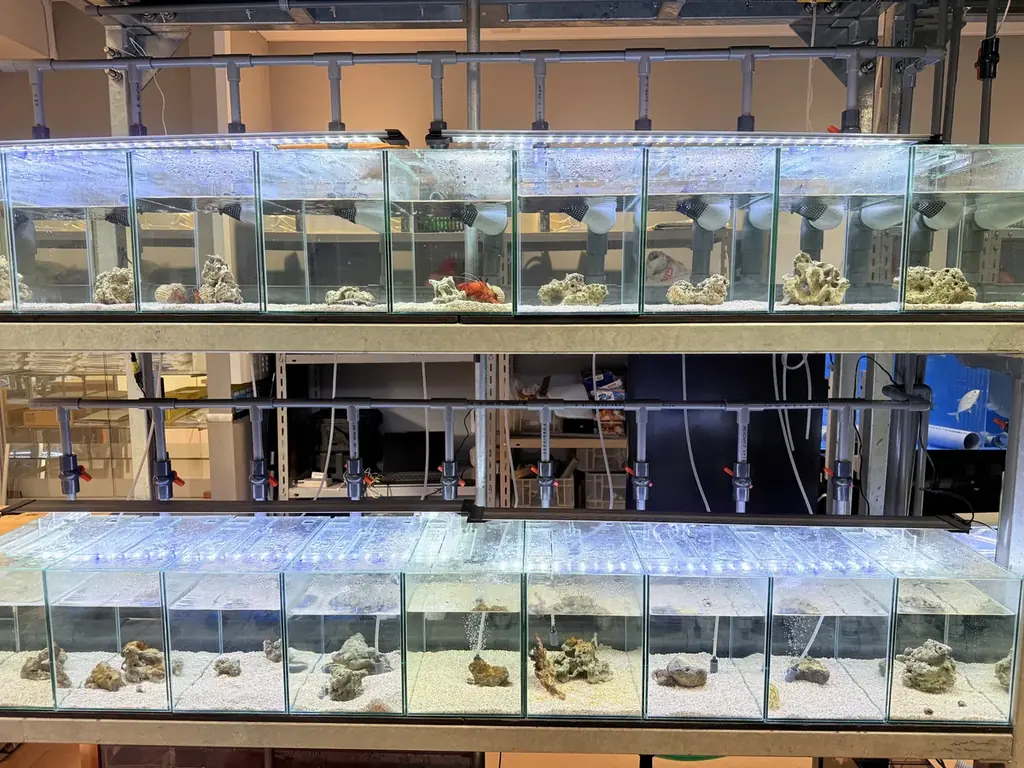 体感を通して海や生きものを学べる宮古島“初”となる水族館『KAIKENのチイサナ水族館』2025年9月12日に沖縄県宮古島市にオープン! 画像 4