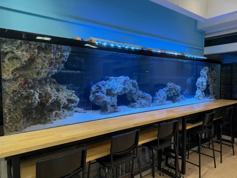 体感を通して海や生きものを学べる宮古島“初”となる水族館『KAIKENのチイサナ水族館』2025年9月12日に沖縄県宮古島市にオープン! 画像 5