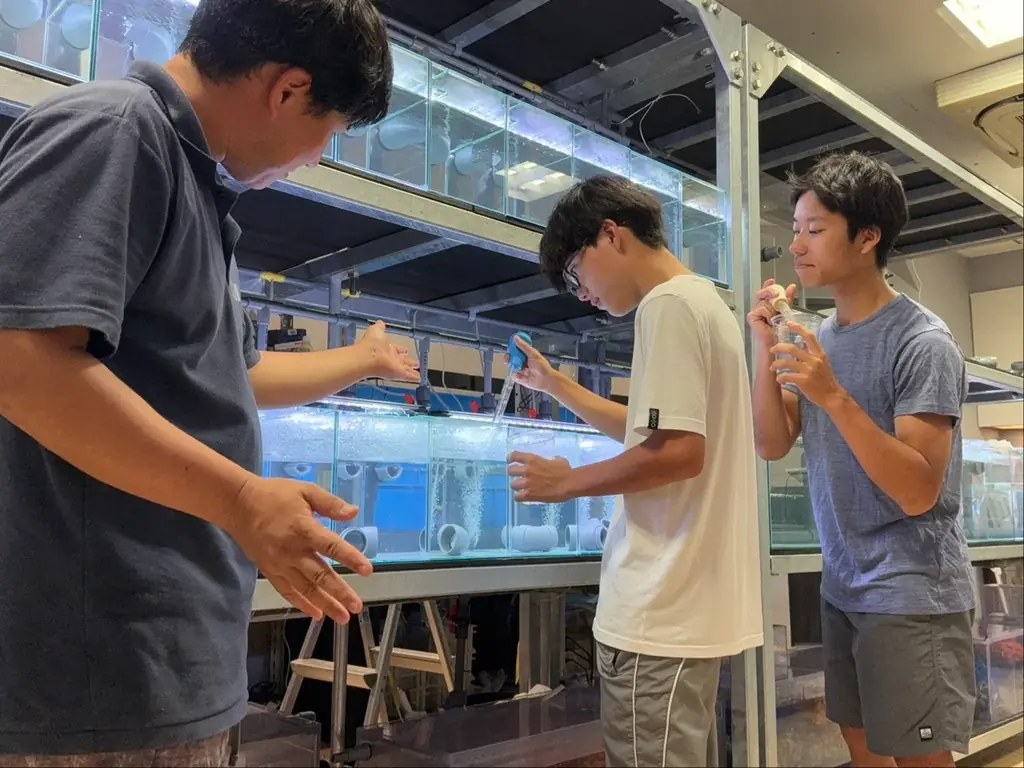 体感を通して海や生きものを学べる宮古島“初”となる水族館『KAIKENのチイサナ水族館』2025年9月12日に沖縄県宮古島市にオープン! 画像 6