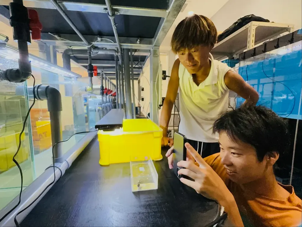 体感を通して海や生きものを学べる宮古島“初”となる水族館『KAIKENのチイサナ水族館』2025年9月12日に沖縄県宮古島市にオープン! 画像 7
