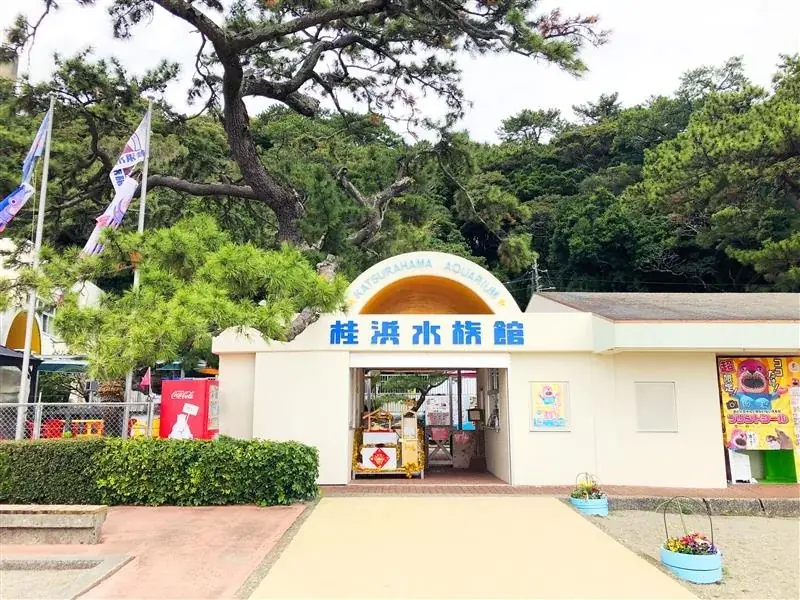 体感を通して海や生きものを学べる宮古島“初”となる水族館『KAIKENのチイサナ水族館』2025年9月12日に沖縄県宮古島市にオープン! 画像 9