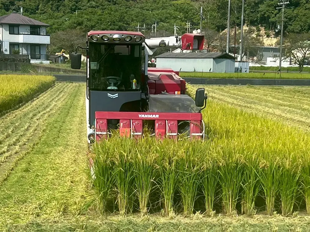 【10月11日(土)兵庫県姫路市で開催の無料イベント】電解水素水で育てたお米の収穫体験イベント開催およびWEB販売を実施 画像 2