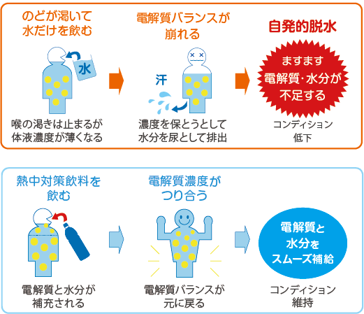 高齢労働者946万人時代の熱中対策に新提案 かむ力が弱くてもOK「塩熱サプリ®カムレス」8月新発売 画像 4