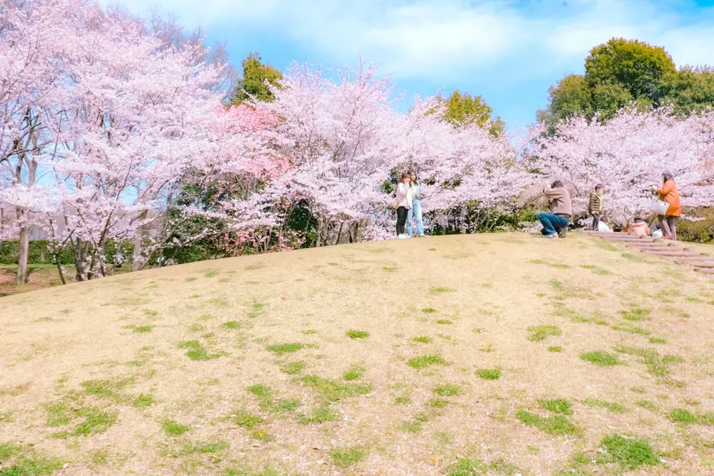 【埼玉県北本市】高尾さくら公園でパークウェディング 画像 2