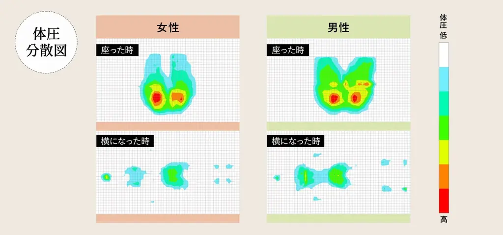 上質な寛ぎと美しいデザインを両立。健康家具ブランドが本気で作った、暮らしに寄り添う“寝るソファ”「CLARIDAD クラリダ」が新登場。 画像 6