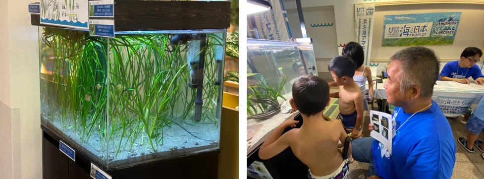 浜名湖ワンダーレイク・プロジェクトがボートレース浜名湖でアマモの課題を発表！大人気ゲーム「マインクラフト」で浜名湖にアマモを植えよう！ 画像 2
