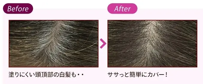 気になる白髪にサッとひと塗り!誰でも簡単にキレイに隠せる「スティック状白髪隠し」待望の再登場! 画像 2