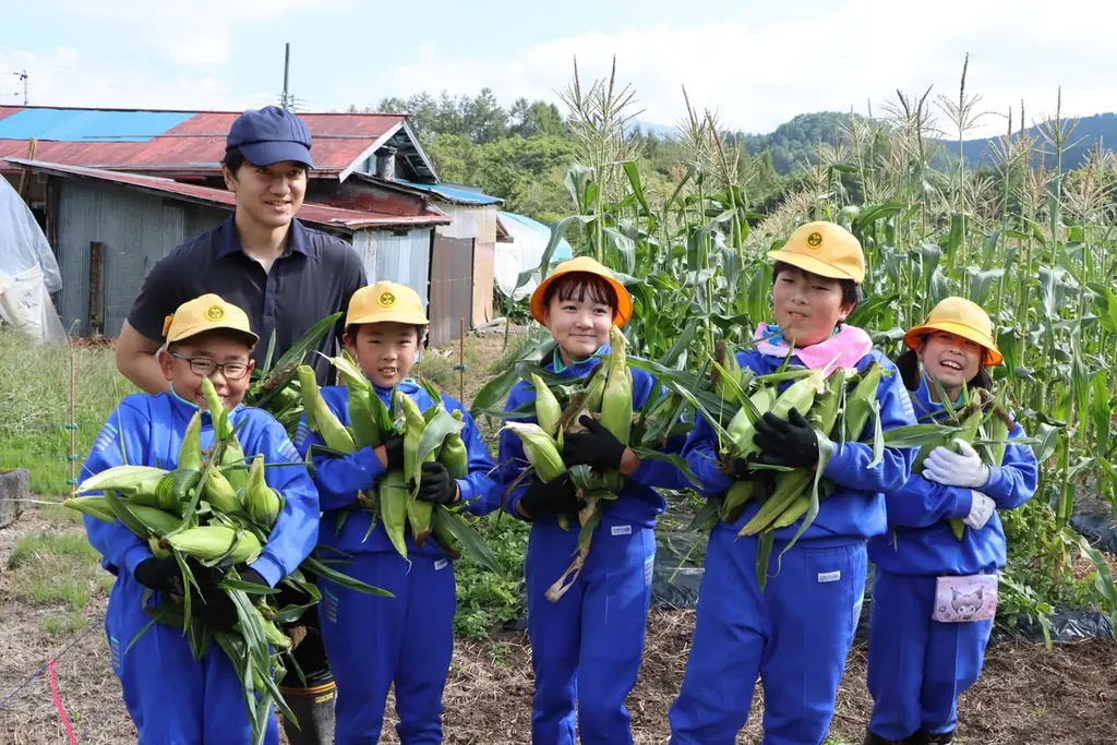 【飛騨高山・岐阜県高山市】高山市朝日小学校の児童が“幻のとうもろこし”「タカネコーン」の収穫体験！ 画像 1