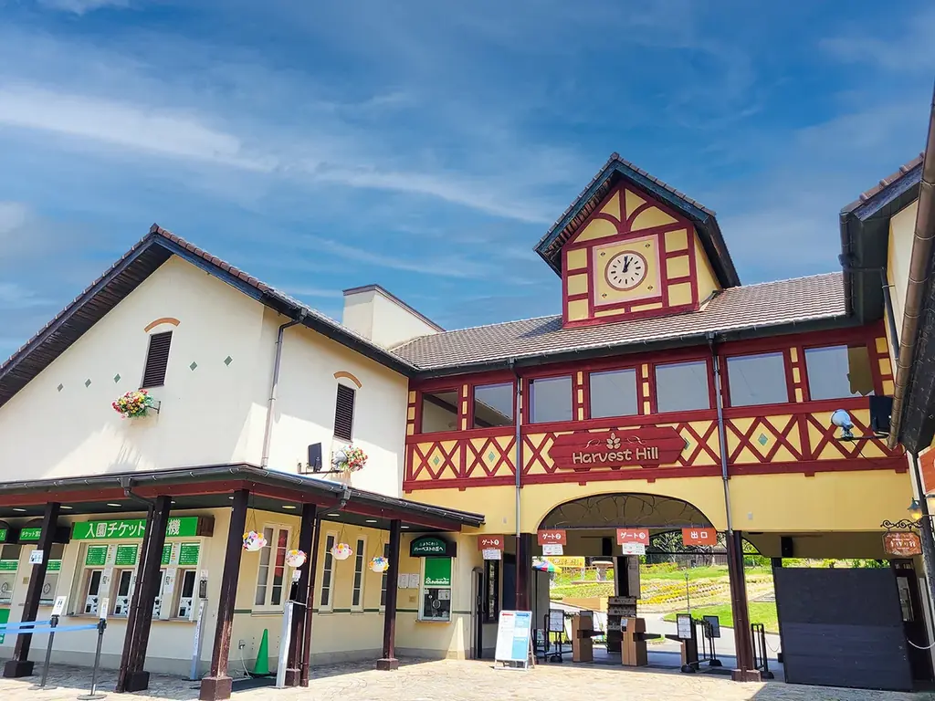 9月も楽しめる夏祭り【堺・緑のミュージアム ハーベストの丘】 画像 8