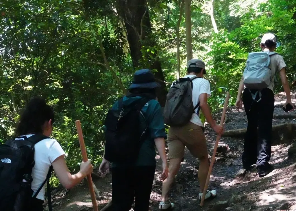 東京の“山の秋”が呼んでいる!酒・自然・食・体験で五感を満たす「WILDERNESS TOKYO」秋の観光プログラム解禁 画像 5