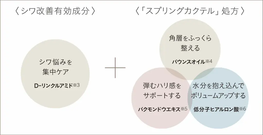 敏感肌ブランド【ディセンシア】2025年のホリデーキットは名品リンクルオイルを中心とした豪華ラインナップで登場 画像 4