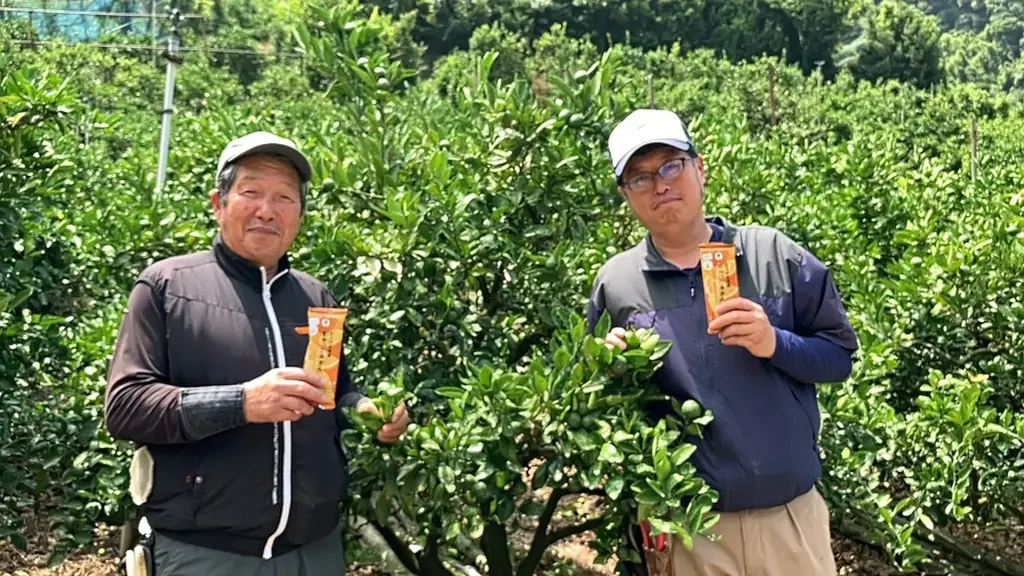 「産地と、コンビに、」シリーズより和歌山県産有田みかんの果汁を67%使った「とろける食感 ぎゅっとみかん」を9月9日より発売~有田みかんのおいしさと生産者の思いをぎゅっとつめました~ 画像 3