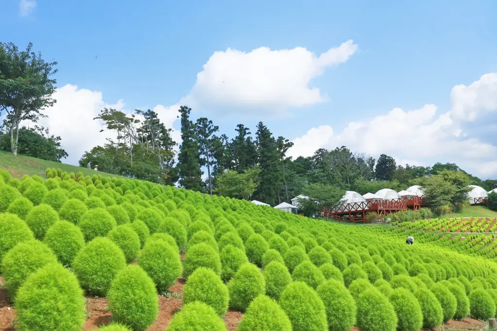 敬老の日当日は65歳以上の方はマザー牧場の入場料が無料！オトクが嬉しい同伴者の割引も！『敬老の日 感謝ウィーク』９月8日～15日に開催！ 画像 2