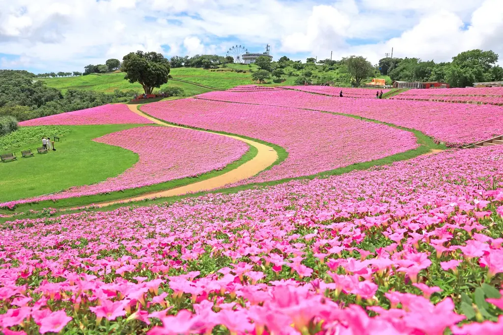敬老の日当日は65歳以上の方はマザー牧場の入場料が無料！オトクが嬉しい同伴者の割引も！『敬老の日 感謝ウィーク』９月8日～15日に開催！ 画像 3
