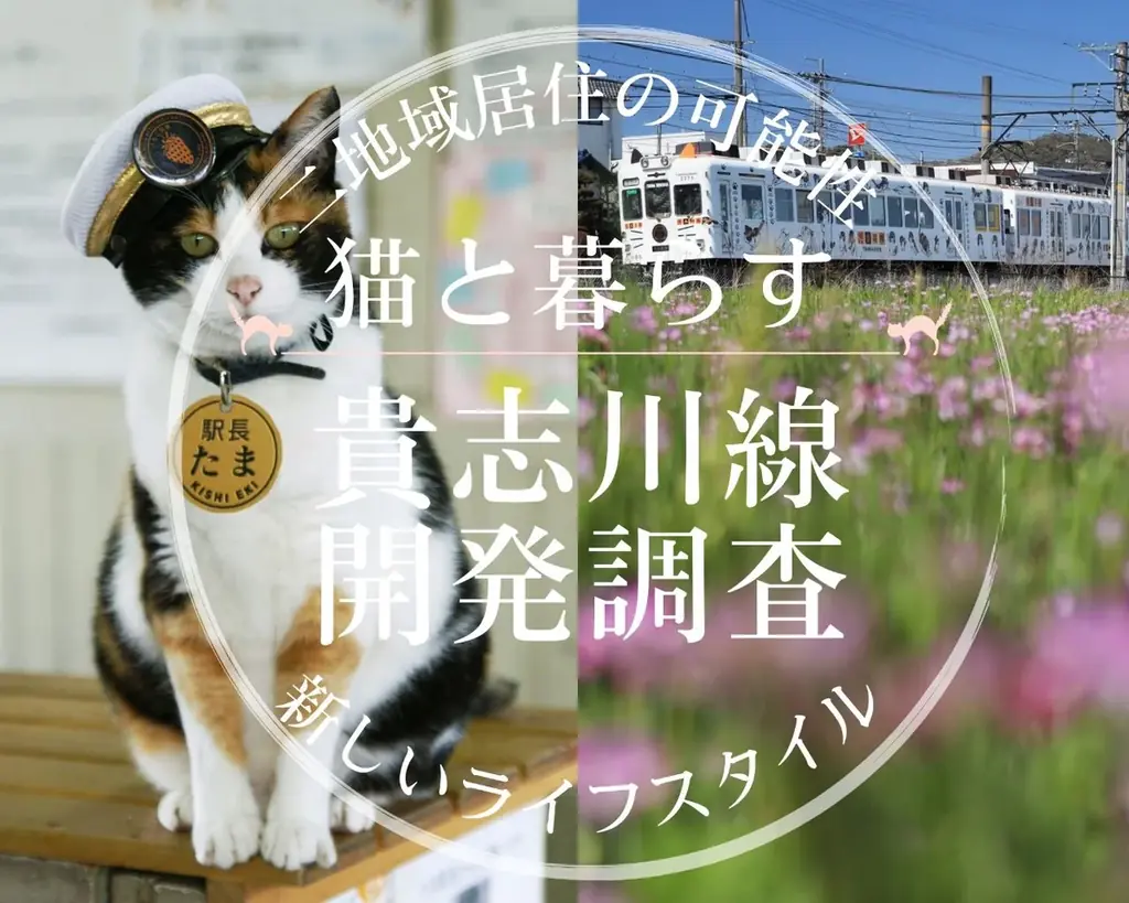 和歌山モデル発表会「和歌山でテレワークしよう！」開催のお知らせ 画像 5