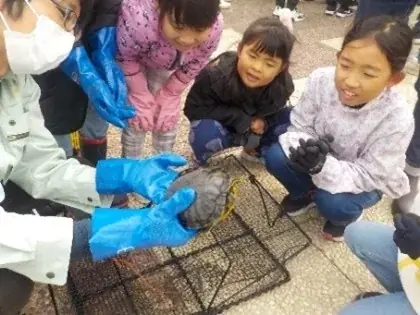 9月27日開催｜向山大池で学ぶアカミミガメ捕獲体験