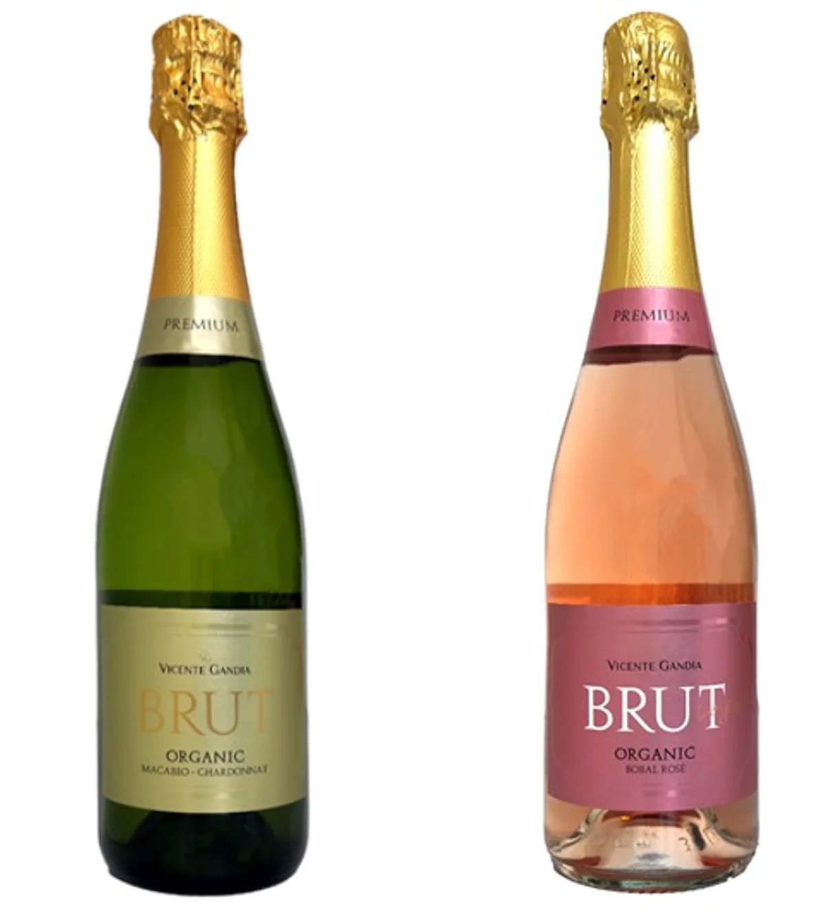 ビールを楽しむ季節が到来！おうち需要に応える新提案 「イオンのオクトーバーフェスト」９／１２～２３開催 全国１,６００店舗で一斉開催 画像 6