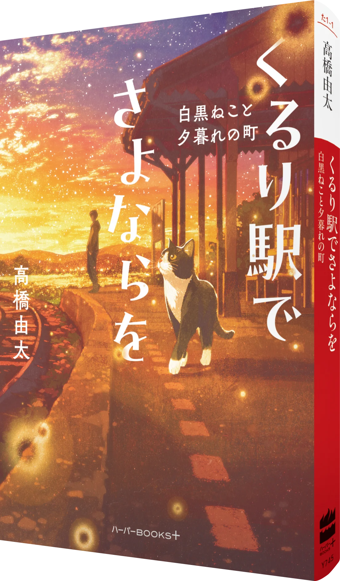 久留里線を1カ月限定でジャック！　千葉県のローカル線・久留里線を舞台に描く話題の小説『くるり駅でさよならを　白黒ねこと夕暮れの町』 画像 6