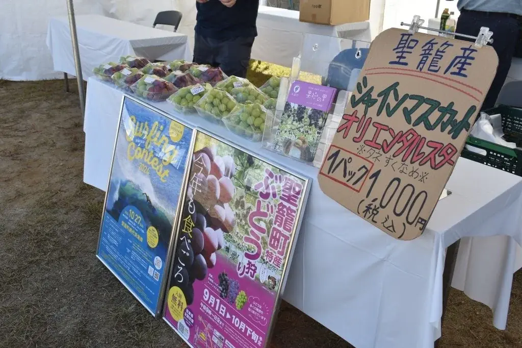“米粉のまち”が贈る、胎内ゴールドヤキソバ復活祭！「第13回 米粉フェスタinたいない2025」開催 画像 4