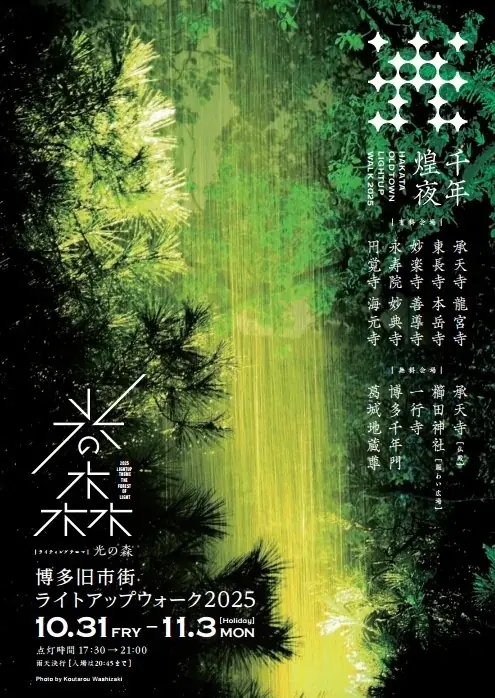音楽と光あふれる、秋の福岡市へ！五感で楽しむ話題のイベントがふるさと納税返礼品に登場！ 画像 2